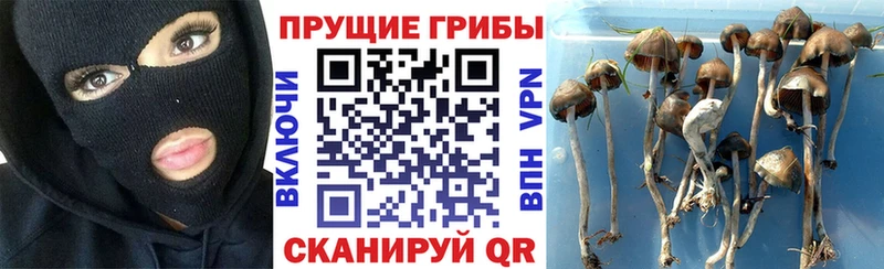 Галлюциногенные грибы прущие грибы  Купить закладки  Сухиничи 